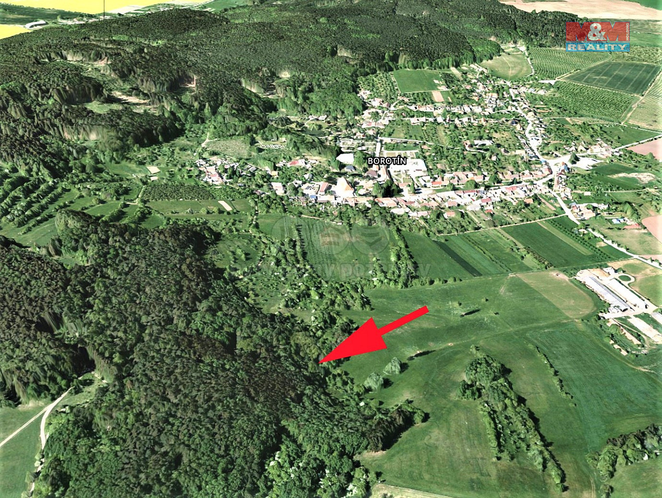 Prodej lesa 1 374 m² – fotografie 4