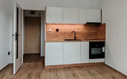 Prodej bytu 1+kk 20 m², Prameny, Karviná - Ráj