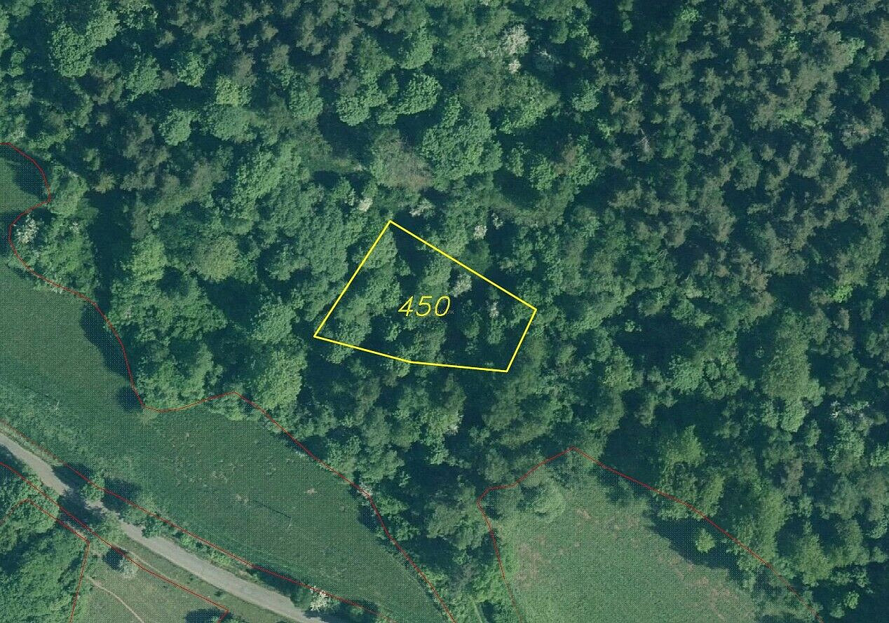 Prodej pozemku 4 999 m² – fotografie 5