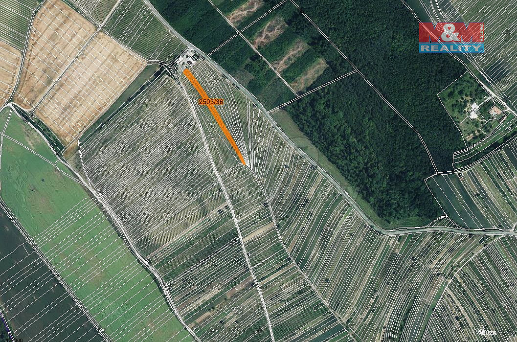 Prodej pole 2 497 m² — photo 2