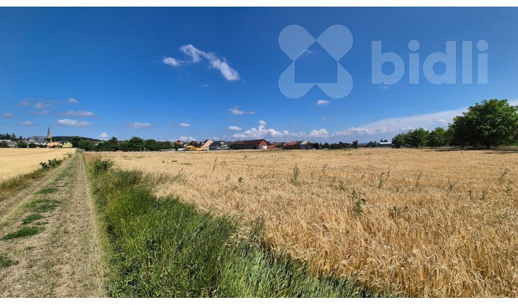 Prodej pole 773 m², Stará Ves – náhled fotky 8