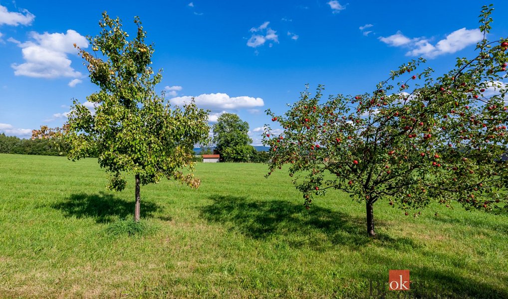 Prodej louky 7 126 m², Chrastava – náhled fotky 6