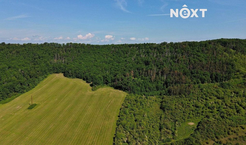 Prodej lesa 3 149 m², Chrustenice – náhled fotky 8