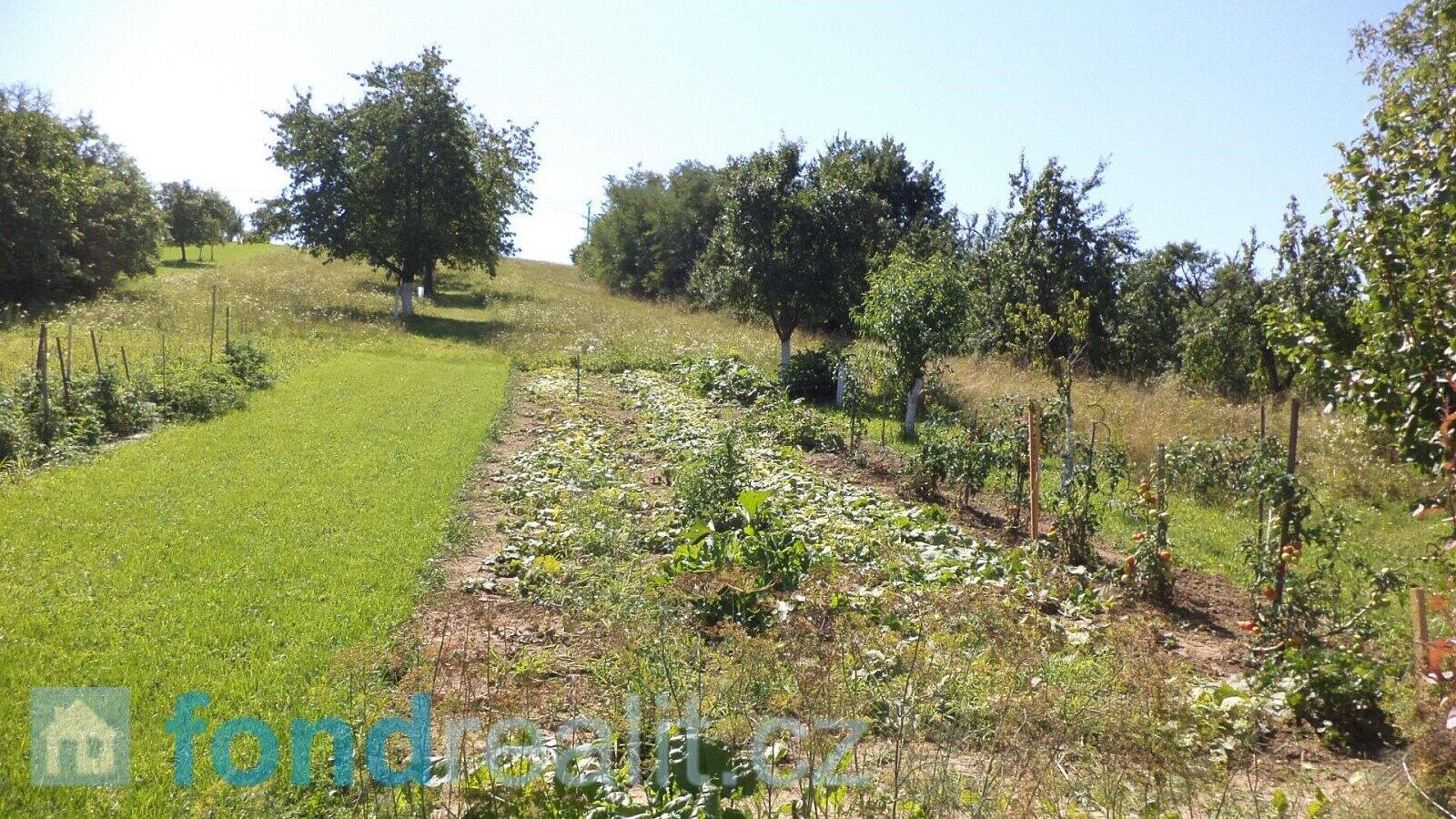 Prodej pozemku 10 906 m² – fotografie 4