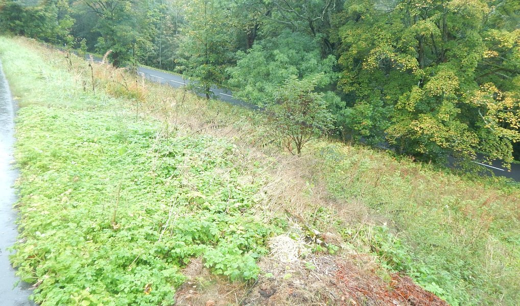 Prodej zahrady 876 m², Vejprty – náhled fotky 9