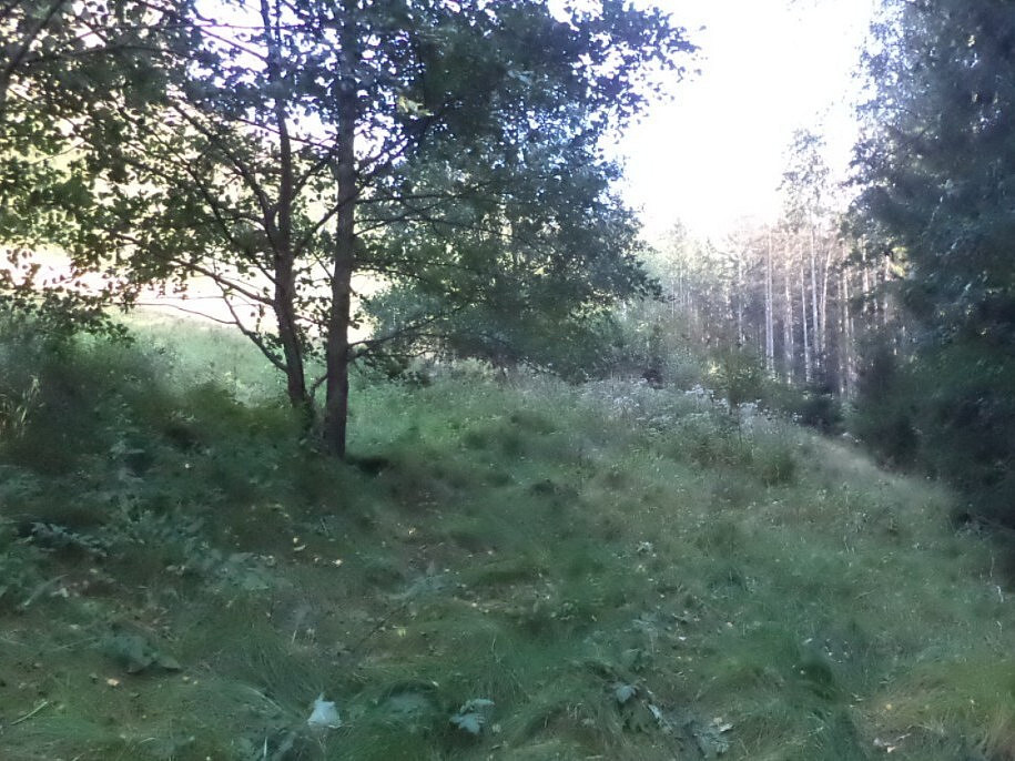 Dražba louky 496 m²