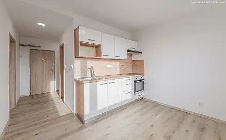 Prodej bytu 1+1 35 m², Palachova, Hradec Králové - Nový Hradec Králové