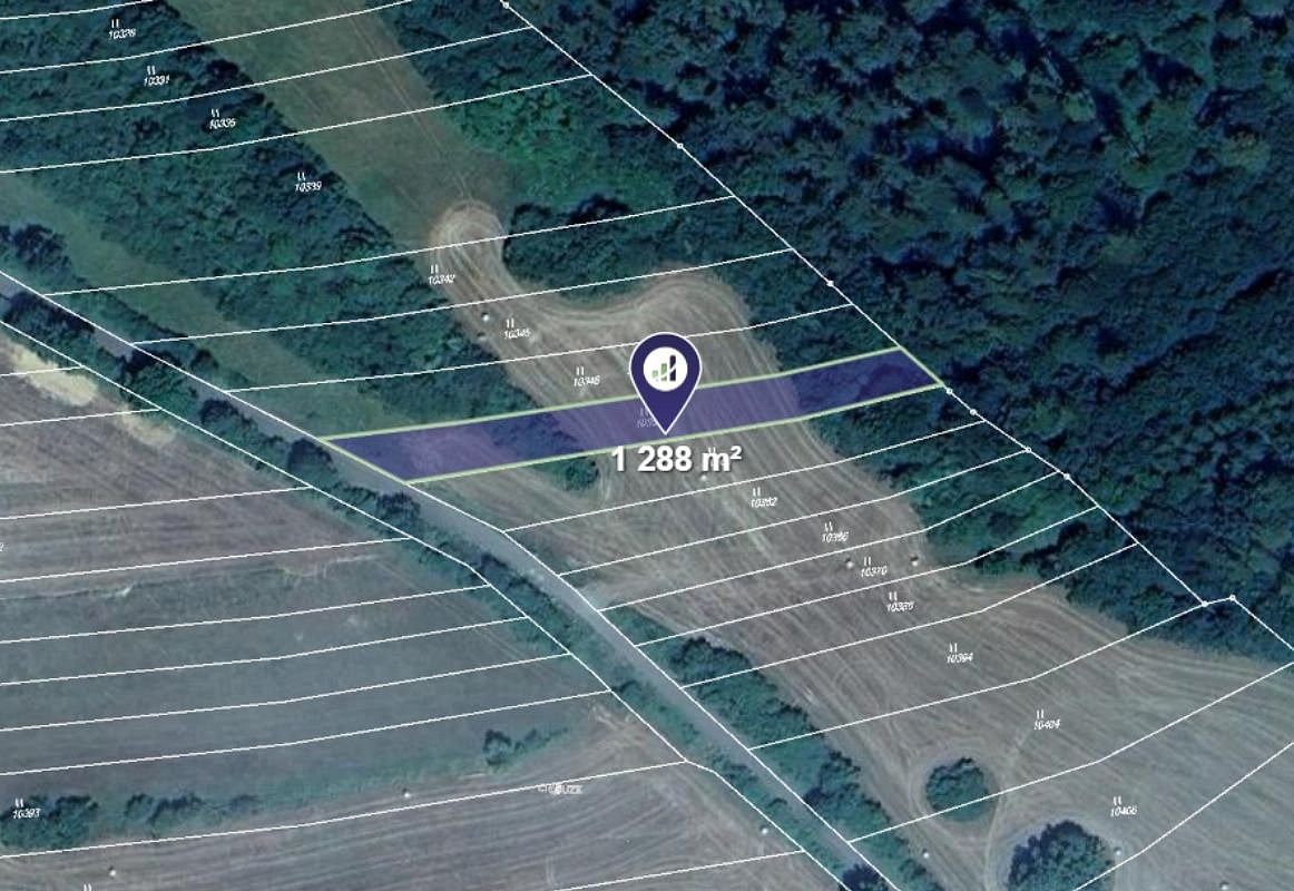 Prodej pole 8 539 m² – fotografie 2
