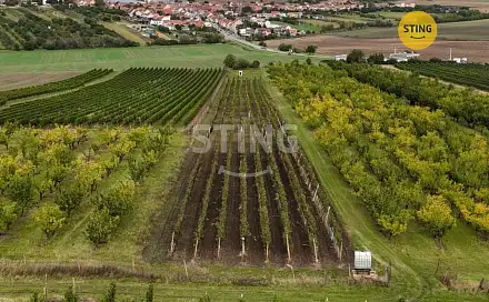 Prodej pozemku 5 412 m², Velké Pavlovice, okres Břeclav