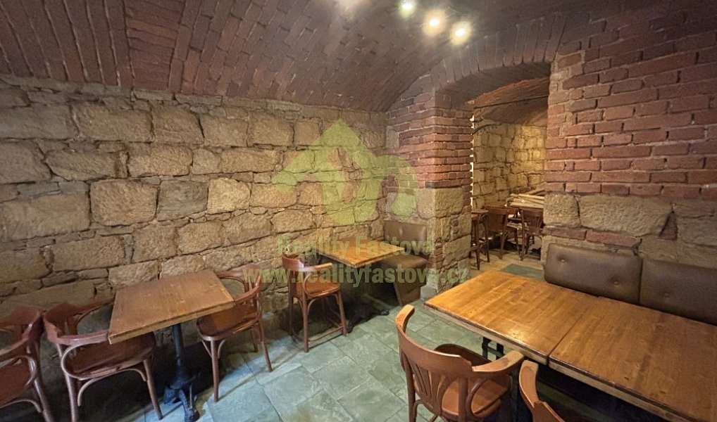 Prodej domu 776 m² s pozemkem 192 m², Plzeň – náhled fotky 27