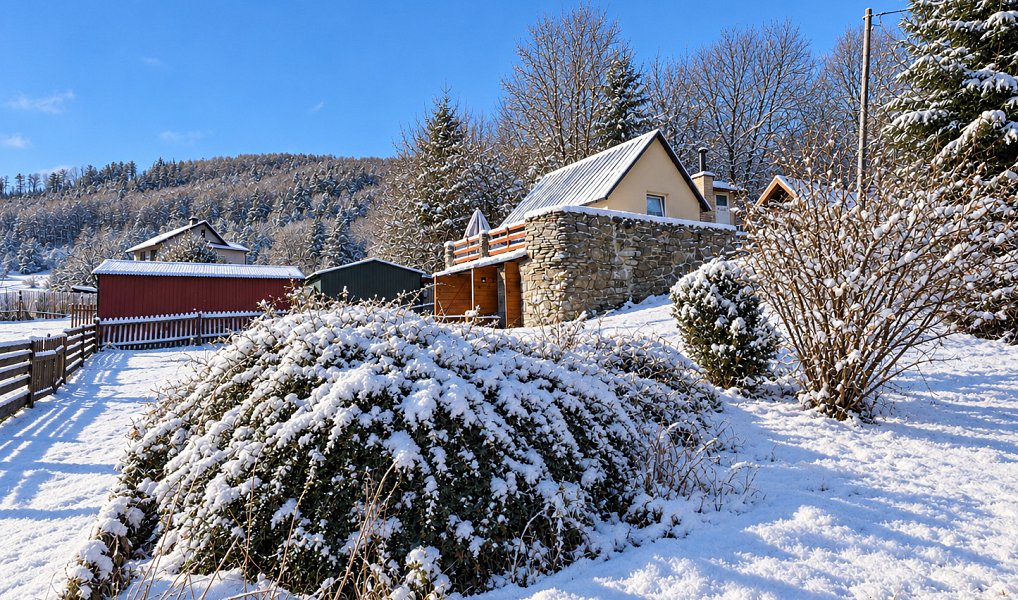 Prodej chaty/chalupy 59 m² s pozemkem 520 m², Košařiska – náhled fotky 11