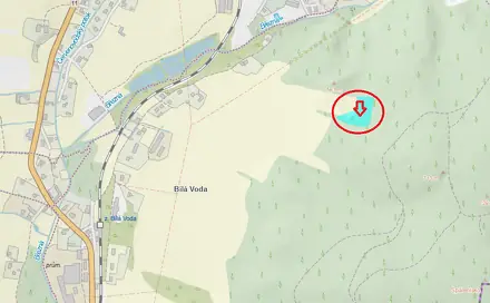 Prodej lesa 5 759 m², Červená Voda