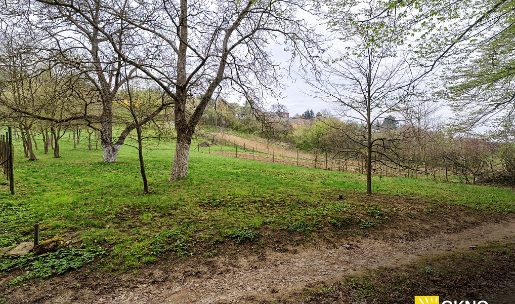 Prodej zahrady 1 459 m², Střelice – náhled fotky 3