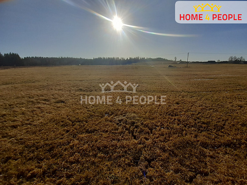 Prodej louky 9 804 m² — photo 4