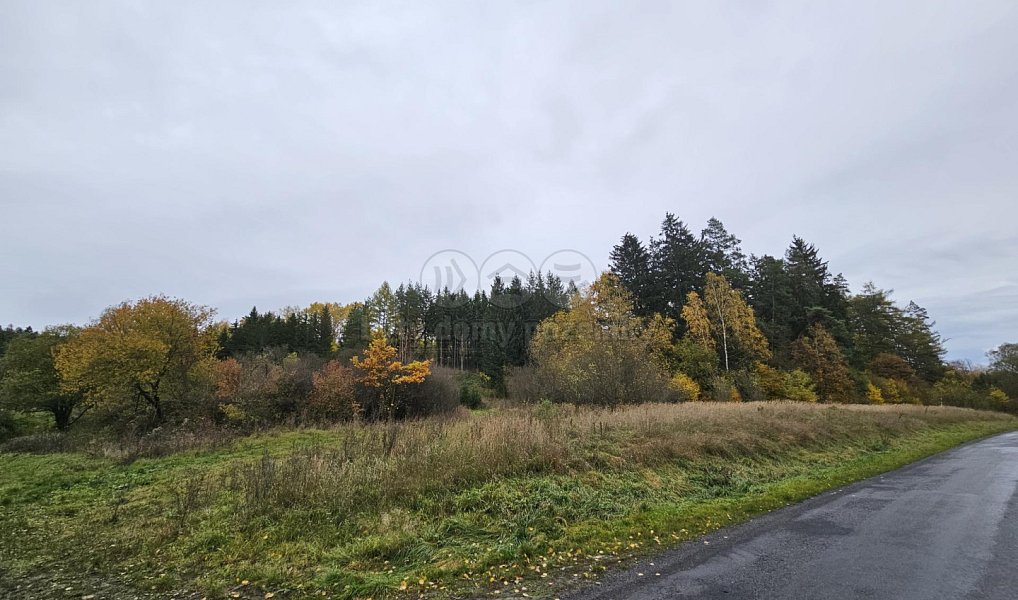 Prodej pole 1 278 m², Bělá u Jevíčka – náhled fotky 7