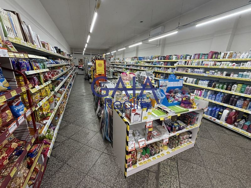 Prodej obchodních prostor 481 m² – fotografie 2