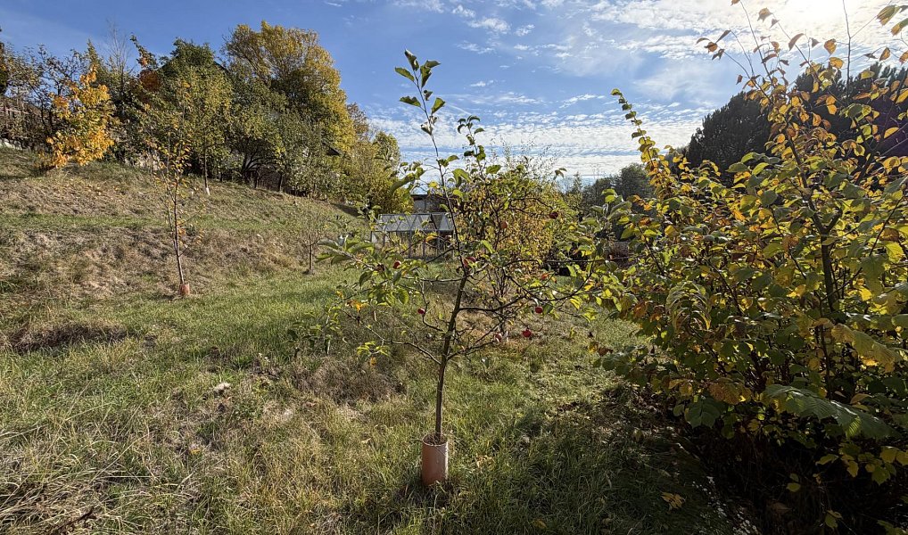 Prodej domu 190 m² s pozemkem 860 m², Bystřice nad Pernštejnem – náhled fotky 4