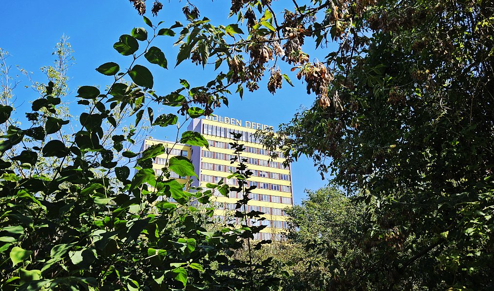 Prodej bytu 2+kk 36 m², Praha – náhled fotky 7