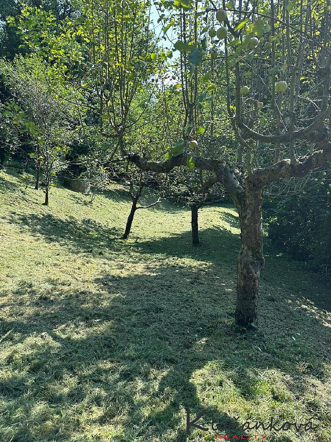Prodej stavebního pozemku 893 m² — photo 4