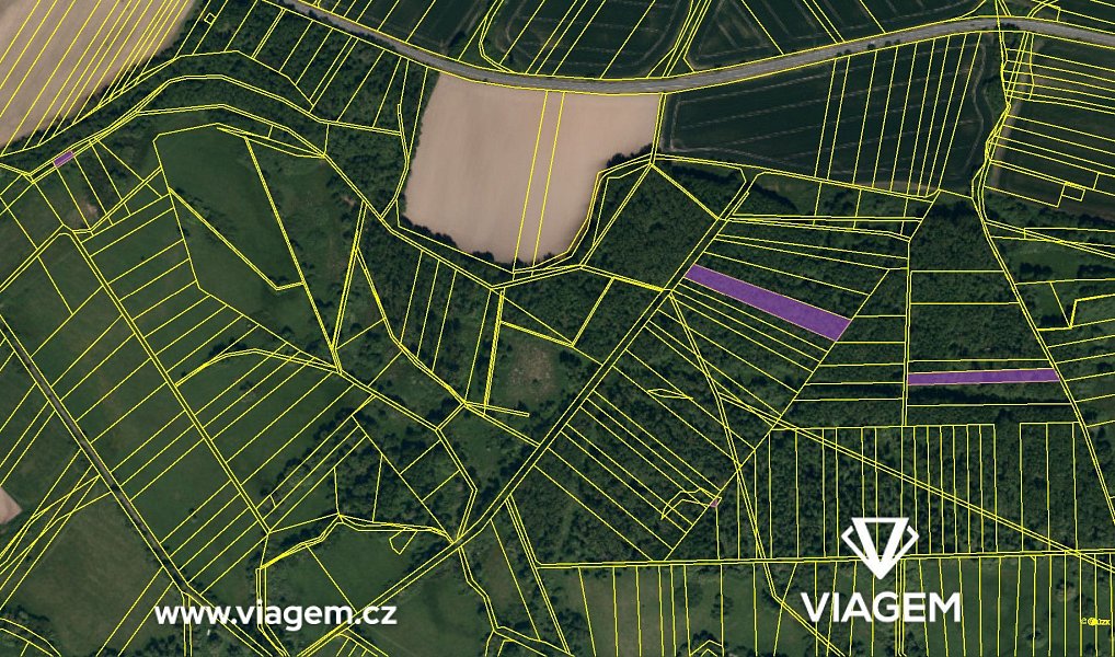 Prodej lesa 7 896 m², Kravaře – náhled fotky 4