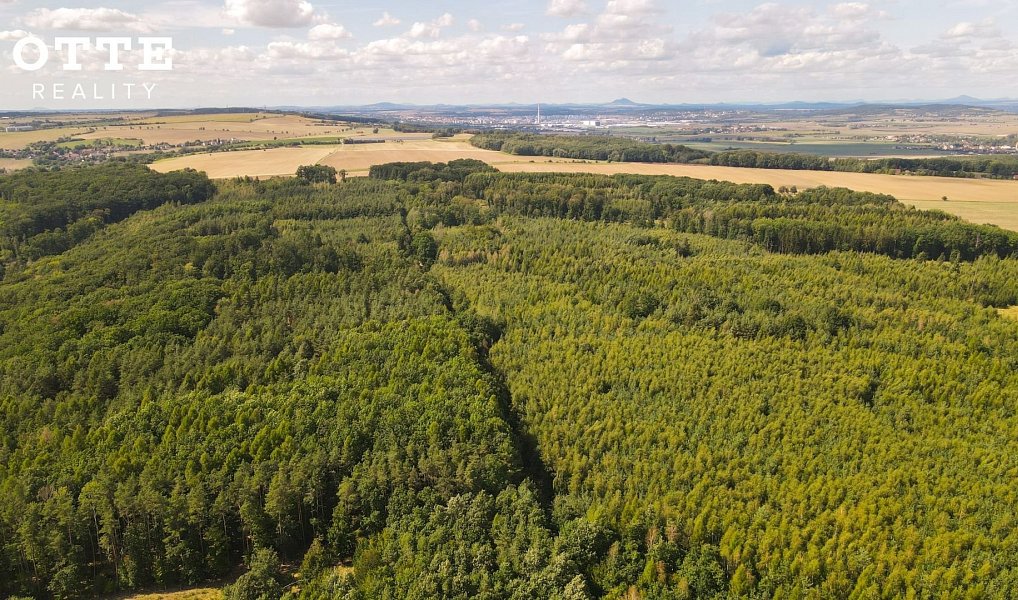 Prodej lesa 985 653 m², Žerčice – náhled fotky 3
