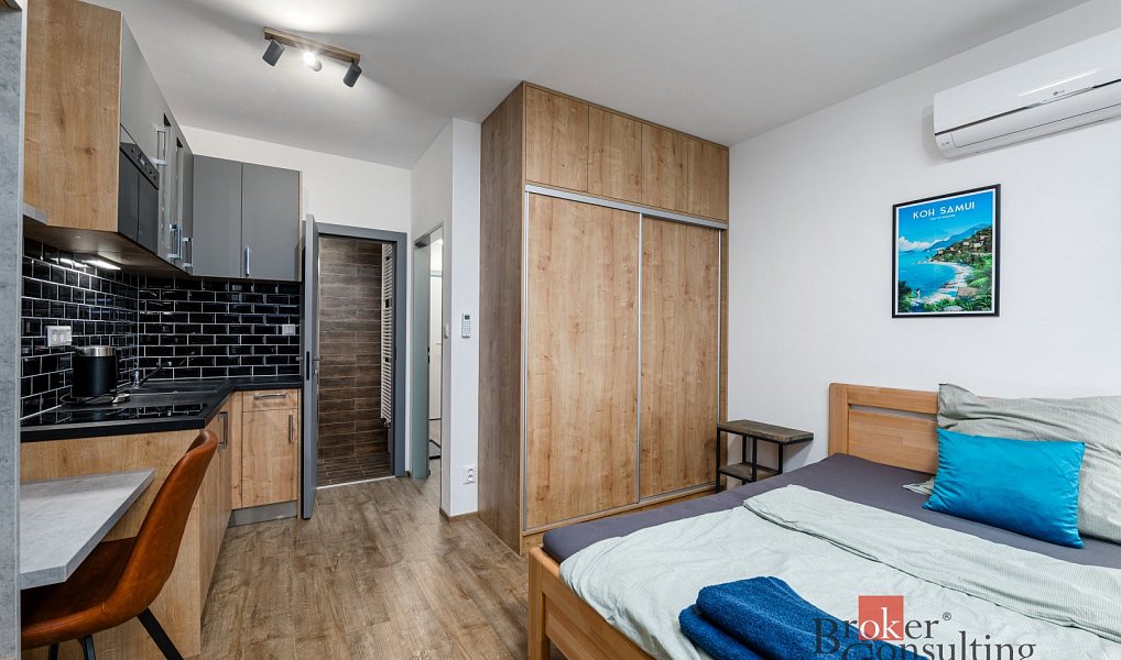 Prodej bytu 2+kk 56 m², Plzeň – náhled fotky 9