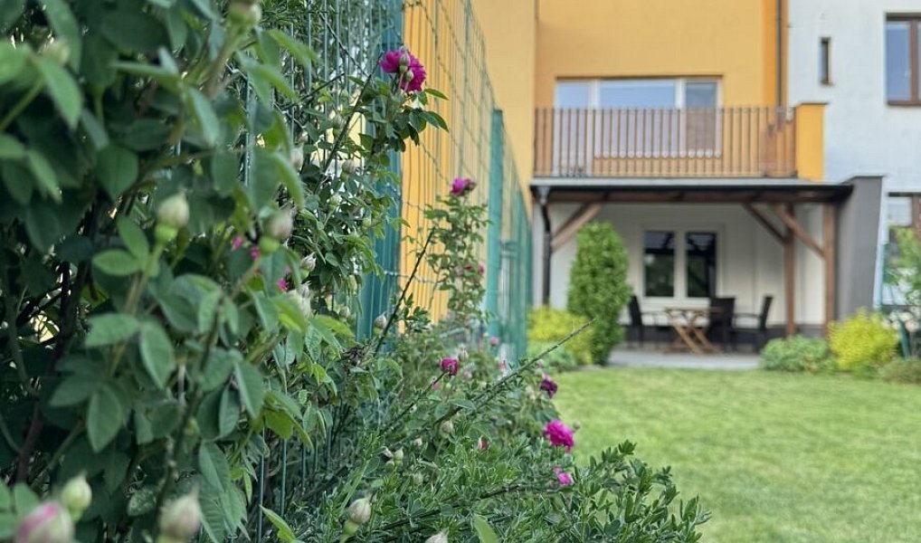 Prodej domu 139 m² s pozemkem 333 m², Plzeň – náhled fotky 31
