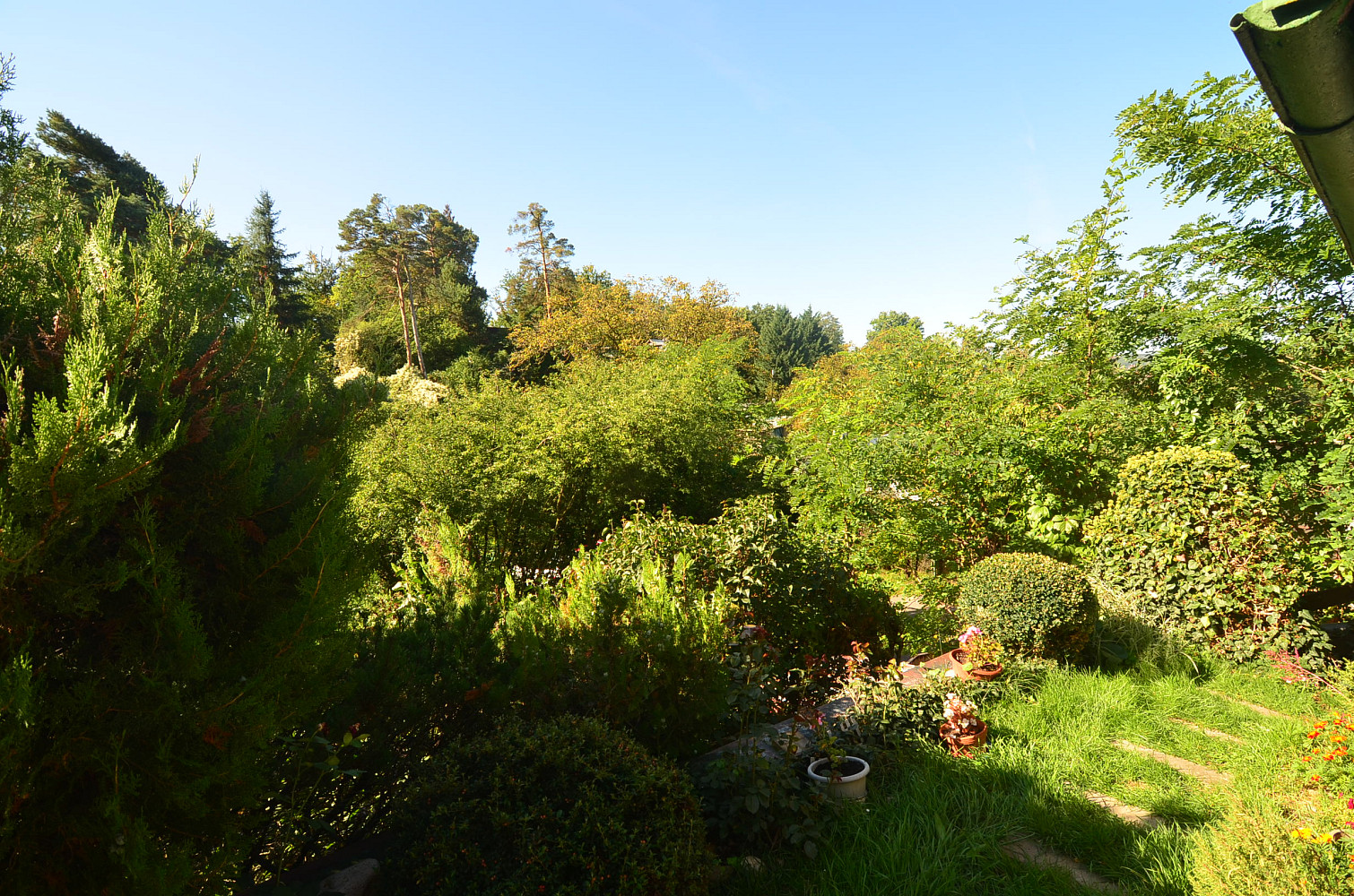 Prodej chaty/chalupy 25 m² s pozemkem 171 m² — photo 3
