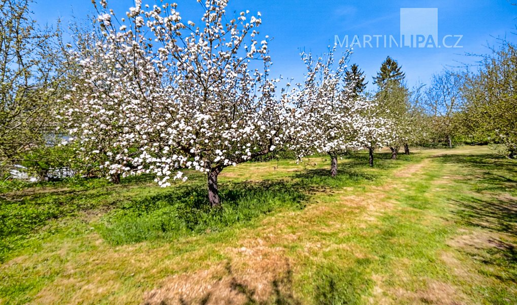Prodej stavebního pozemku 880 m², Kamenný Přívoz – náhled fotky 21