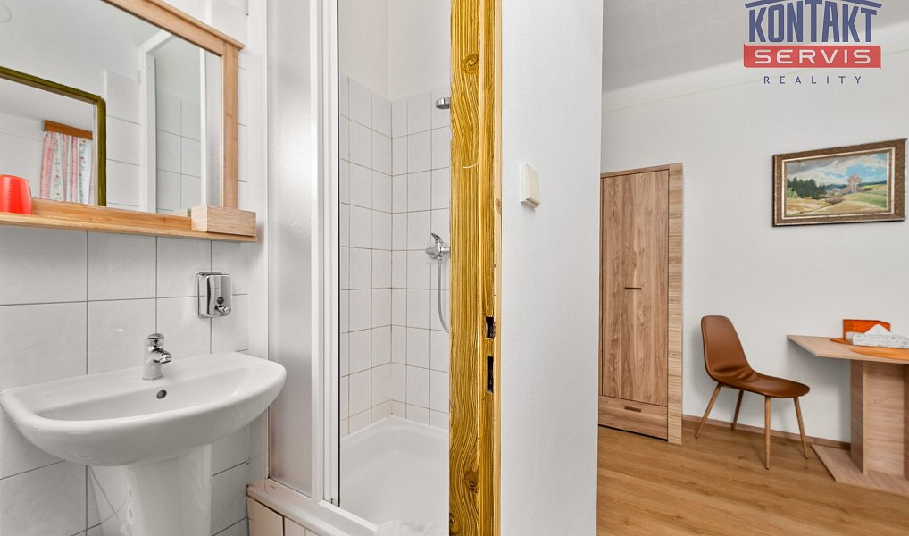 Prodej domu 660 m² s pozemkem 971 m², Stachy – náhled fotky 34