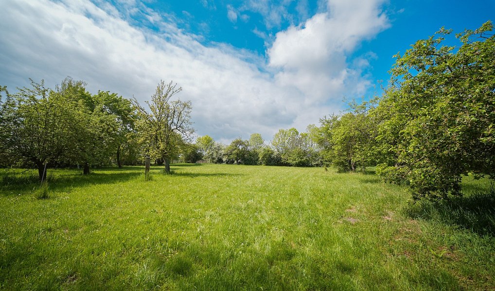 Prodej stavebního pozemku 5 013 m², Praskačka – náhled fotky 3