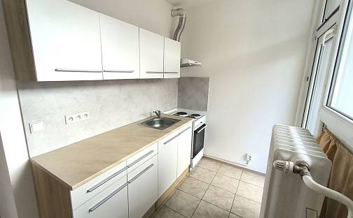 Pronájem bytu 2+1 40 m², Teplická, Bílina - Teplické Předměstí, okres Teplice