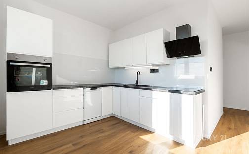 Prodej bytu 2+1 58 m², Kamenný vrch, Chomutov