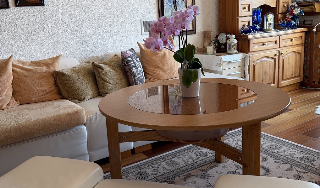 Prodej domu 250 m² s pozemkem 1 245 m², Spálov – náhled fotky 9