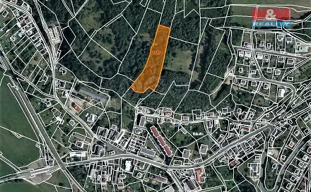 Prodej louky 7 200 m², Bohutín, okres Šumperk