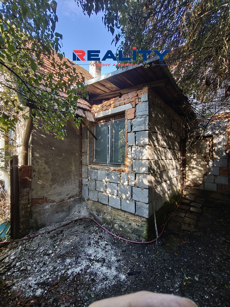 Fotka 4 z 16