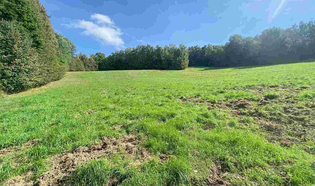 Prodej pozemku 10 593 m², Sobotín – náhled fotky 2