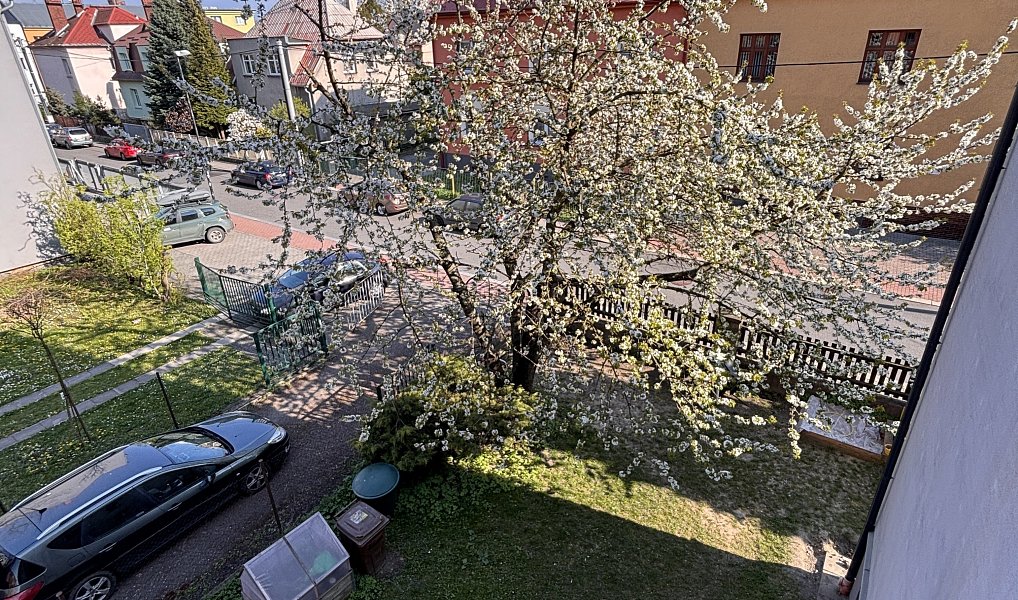 Pronájem bytu 1+1 47 m², Ostrava – náhled fotky 6