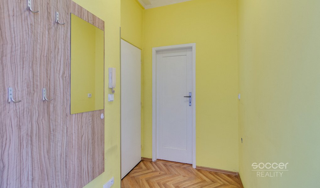 Pronájem bytu 1+1 45 m², Praha – náhled fotky 6