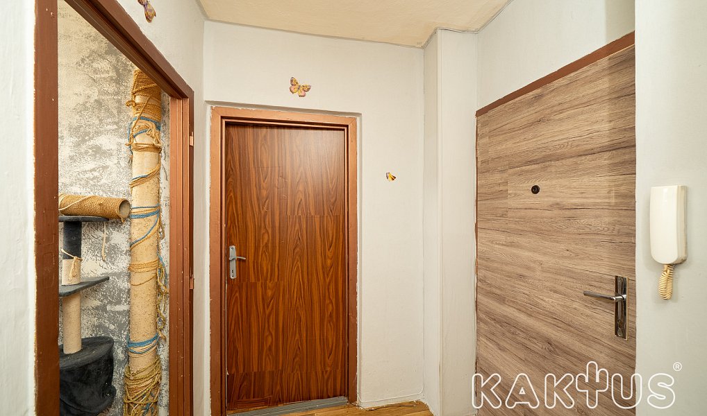 Prodej bytu 1+1 38 m², Ostrava – náhled fotky 16