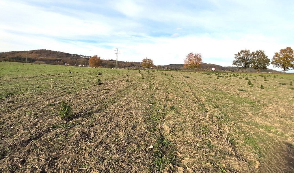 Prodej stavebního pozemku 3 986 m², Strakonice – náhled fotky 7