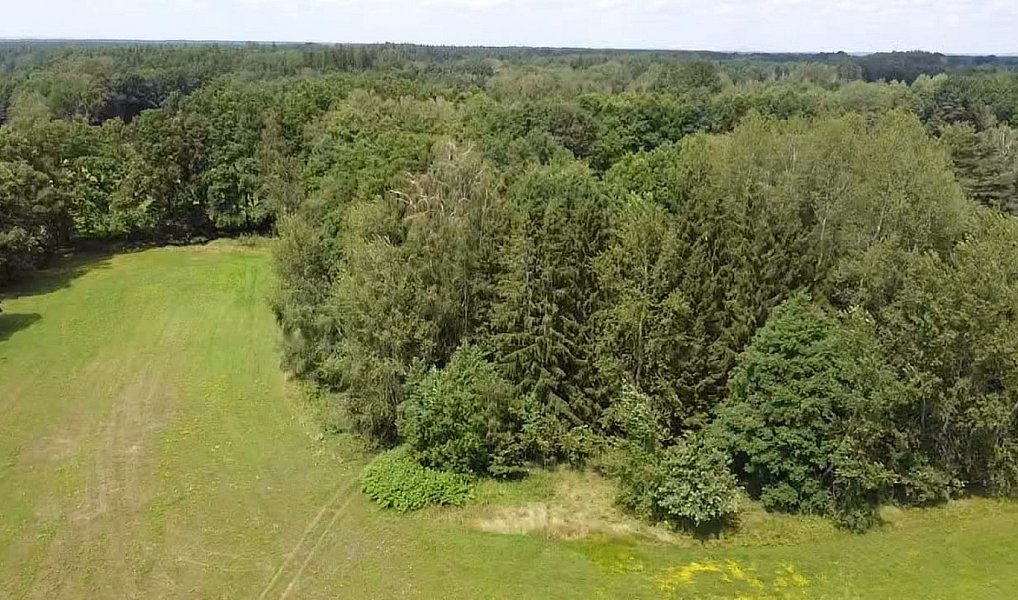 Prodej pole 130 000 m², Chlum u Třeboně – náhled fotky 7