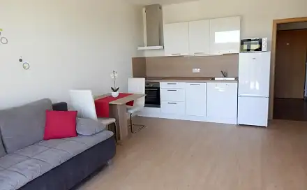 Pronájem bytu 1+kk 36 m²