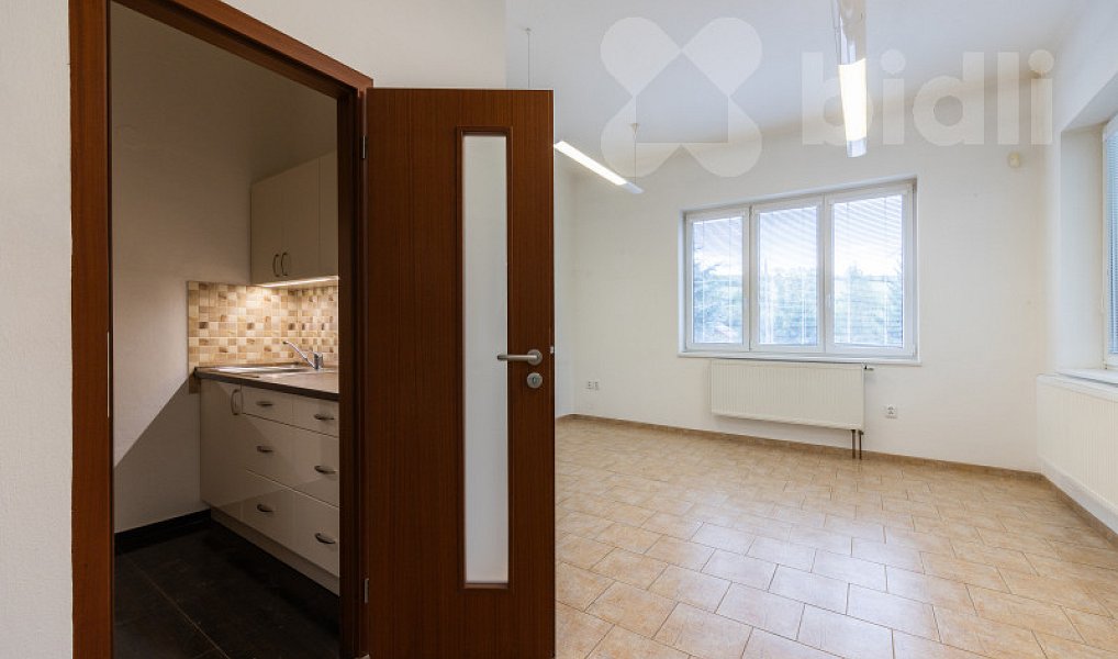 Prodej obchodních prostor 670 m², Dolní Kalná – náhled fotky 12