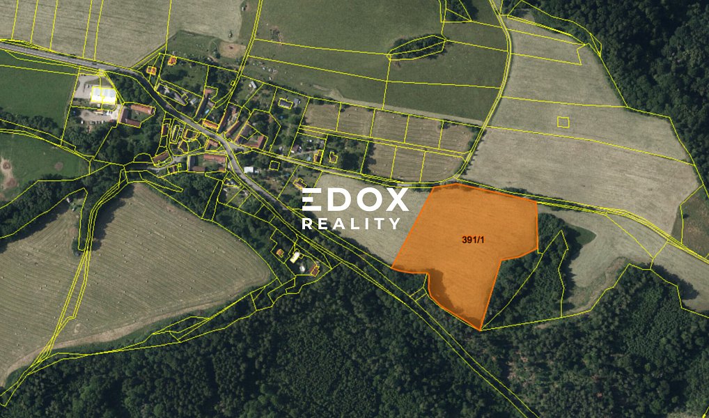 Prodej pole 25 946 m², Sázava – náhled fotky 3