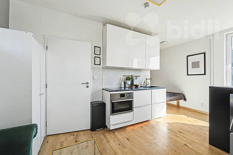 Prodej bytu 1+kk 29 m² — photo 3