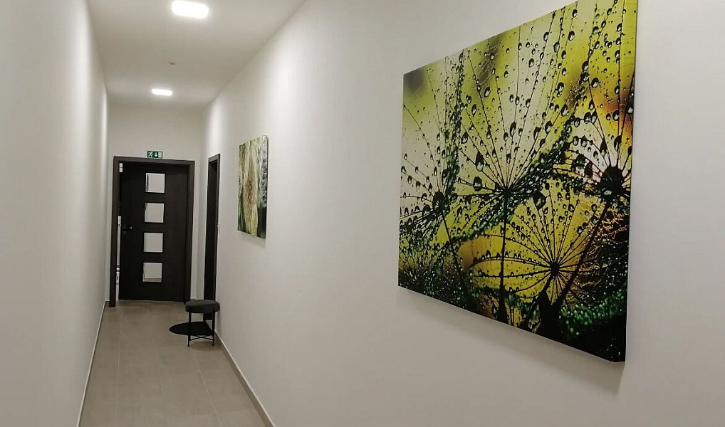 Prodej nájemního domu, činžáku 715 m², Trutnov – náhled fotky 17