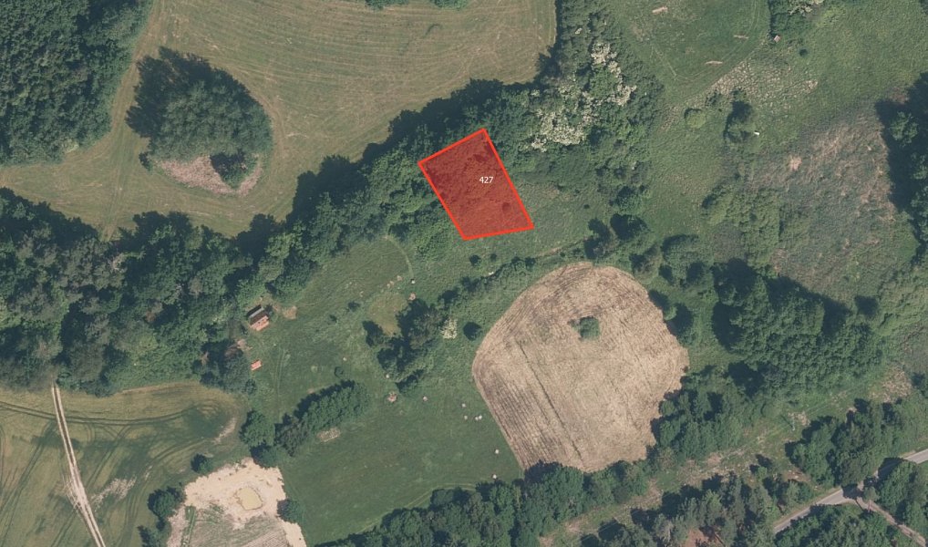 Prodej pole 11 167 m², Plánice – náhled fotky 3