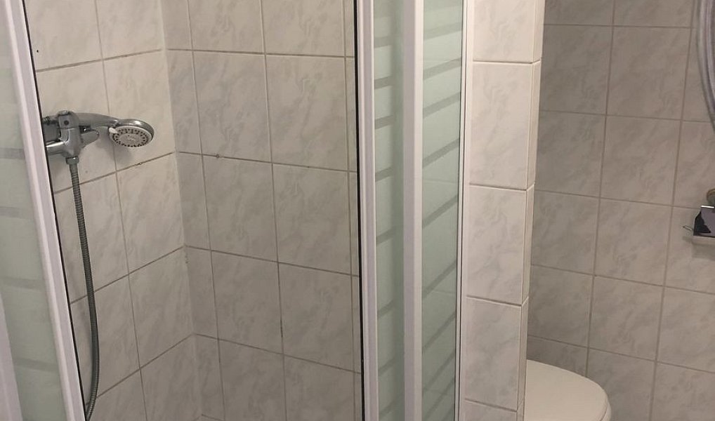 Pronájem bytu 1+1 40 m², České Budějovice – náhled fotky 5