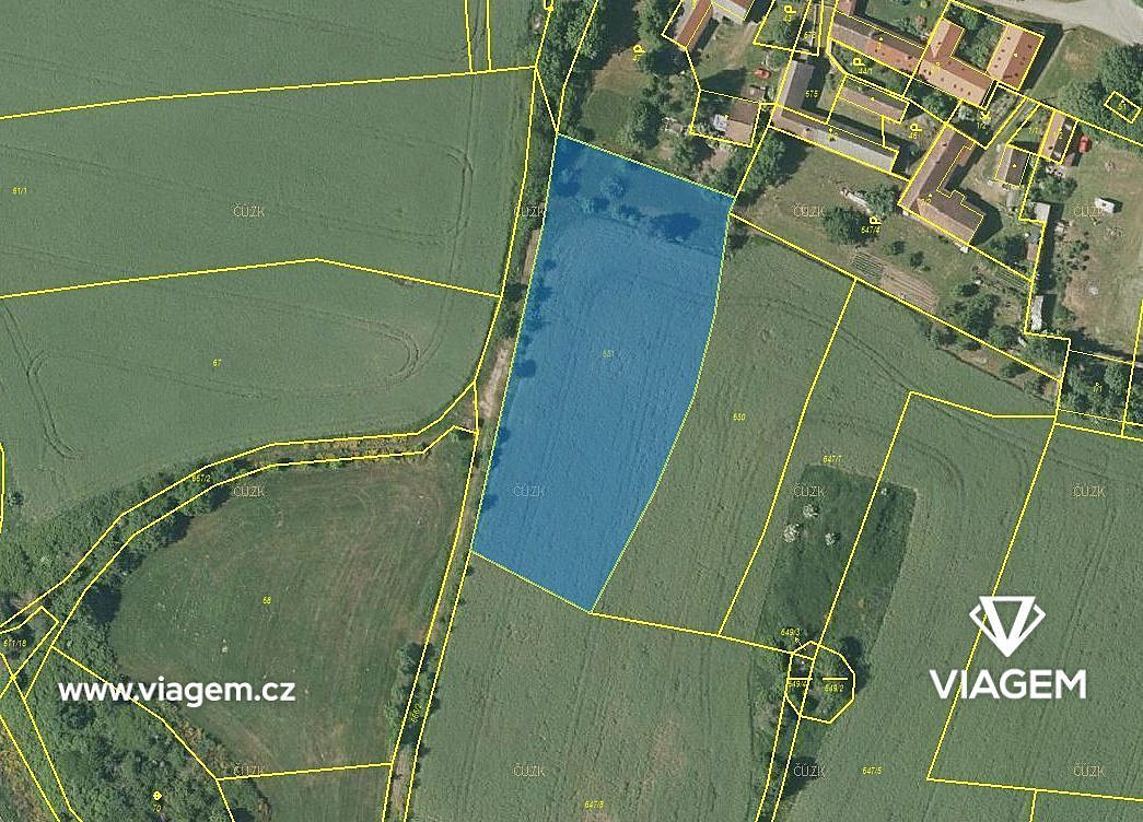 Prodej pole 1 636 m² – fotografie 2